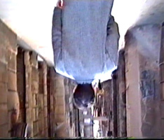 Un passeig en el passat (1994)